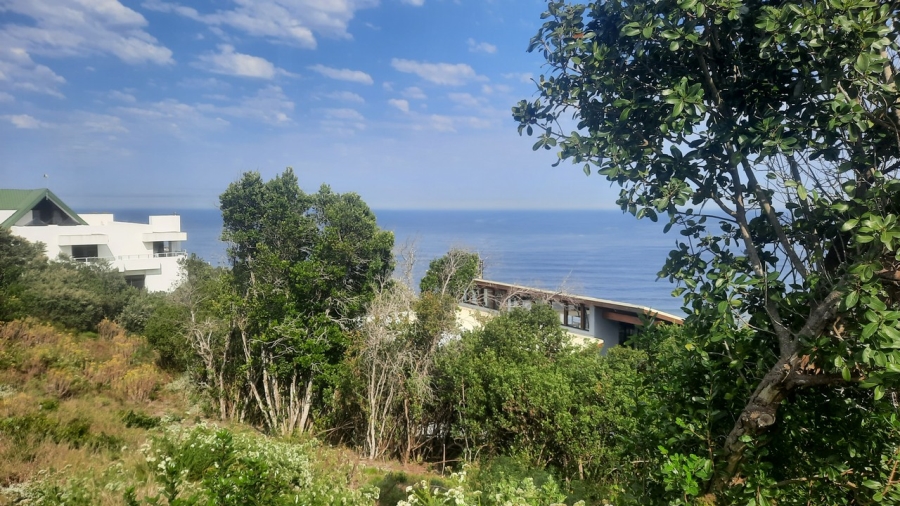 0 Bedroom Property for Sale in Brenton On Sea Western Cape